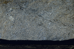 Cross Polarized, ED9198