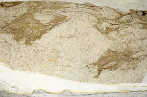 Plane Polarized, ED9214