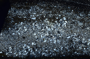 Cross Polarized, ED9231