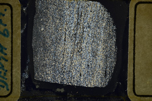 Cross Polarized, ED9248