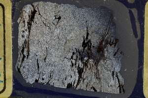 Cross Polarized, ED9309