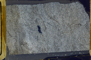 Cross Polarized, ED9320