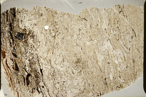 Plane Polarized, ED9336