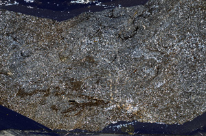 Cross Polarized, ED9369