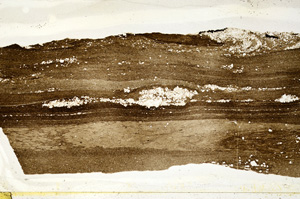 Plane Polarized, ED9376