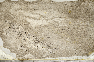 Plane Polarized, ED9386