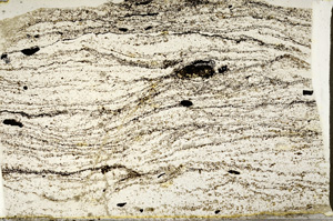 Plane Polarized, ED9399