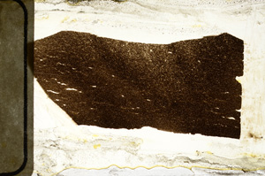 Plane Polarized, ED9412