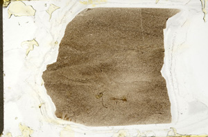 Plane Polarized, ED9413