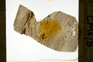 Plane Polarized, ED9432