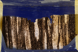 Cross Polarized, ED9433