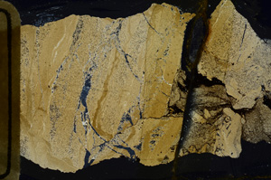 Cross Polarized, ED9474