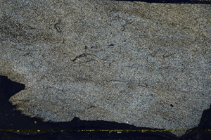 Cross Polarized, ED9512