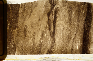 Plane Polarized, ED9555