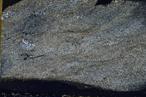 Cross Polarized, ED9619