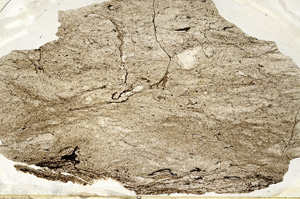 Plane Polarized, ED9639