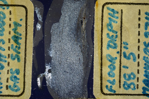 Cross Polarized, ED9650