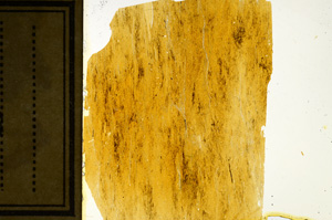 Plane Polarized, ED9769