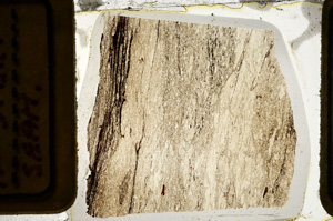 Plane Polarized, ED9786