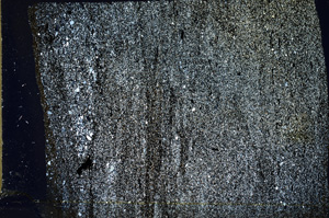 Cross Polarized, ED9791