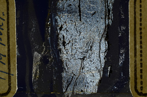 Cross Polarized, ED9816