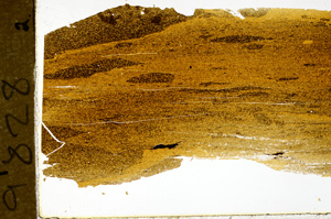 Plane Polarized, ED9828