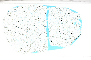 Plane Polarized, ED9926