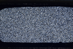 Cross Polarized, ED10003