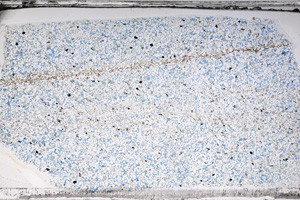 Plane Polarized, ED10042