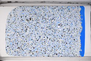 Plane Polarized, ED923