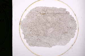 Plane Polarized, E90