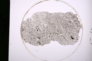 Plane Polarized, E177