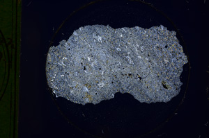 Cross Polarized, E177