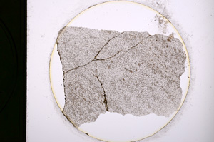 Plane Polarized, E289