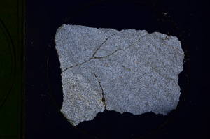 Cross Polarized, E289