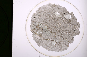 Plane Polarized, E313