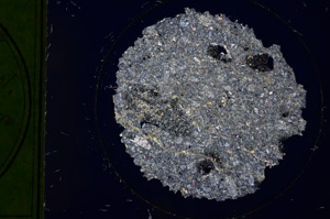 Cross Polarized, E313