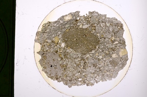 Plane Polarized, E314