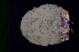 Cross Polarized, E343