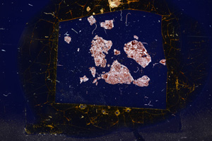 Cross Polarized, E358