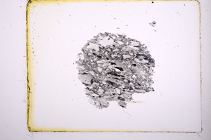 Plane Polarized, E368