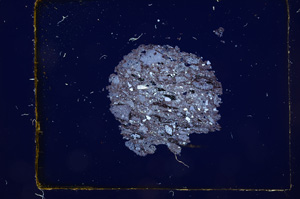 Cross Polarized, E368