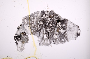 Plane Polarized, E369