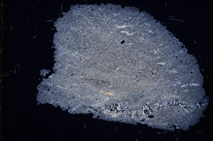 Cross Polarized, E372