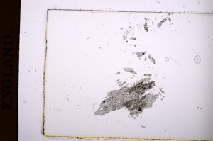 Plane Polarized, E373/A