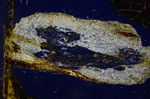 Cross Polarized, E373/B