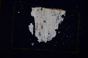 Cross Polarized, E374