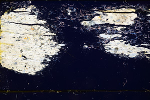 Cross Polarized, E376