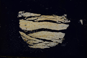 Cross Polarized, E377