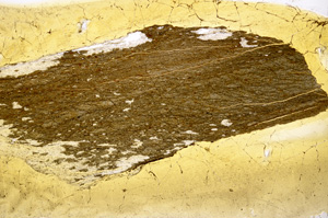 Plane Polarized, E378